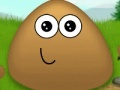                                                                       Pou Camp Fire  ﻞﯿﮭﮐ