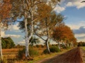                                                                       Russian Road ﻞﯿﮭﮐ
