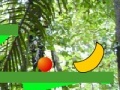                                                                       Bouncin' Blob Bonanza ﻞﯿﮭﮐ