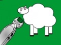                                                                       Shear The Sheep ﻞﯿﮭﮐ