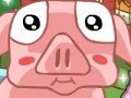                                                                       Piggy pet care  ﻞﯿﮭﮐ