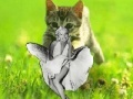                                                                       Kitty saevs the day! ﻞﯿﮭﮐ