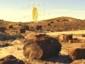                                                                       Treasure Hunt-Desert Forest ﻞﯿﮭﮐ