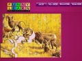                                                                       Five aries on the woods puzzle ﻞﯿﮭﮐ