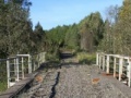                                                                       Diamond Bridge Escape ﻞﯿﮭﮐ
