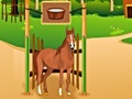                                                                       Horse Care Apprenticship ﻞﯿﮭﮐ