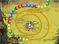                                                                       Zuma Kangaroo ﻞﯿﮭﮐ