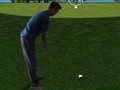                                                                       Flash Golf 3D ﻞﯿﮭﮐ