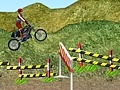                                                                       Motorcycle Rally ﻞﯿﮭﮐ