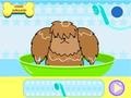                                                                       Dog Hairdresser ﻞﯿﮭﮐ
