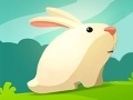                                                                       Greedy Rabbit ﻞﯿﮭﮐ