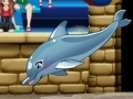                                                                       My dolphin show 6 ﻞﯿﮭﮐ