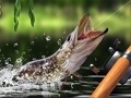                                                                       Morning catch ﻞﯿﮭﮐ
