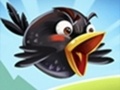                                                                       Crazy Birds 2 ﻞﯿﮭﮐ