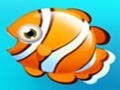                                                                       Fish Resort ﻞﯿﮭﮐ