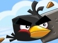                                                                       Crazy Birds ﻞﯿﮭﮐ