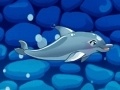                                                                       My Dolphin Show 5 ﻞﯿﮭﮐ