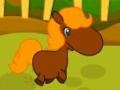                                                                       Pony Races ﻞﯿﮭﮐ