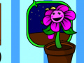                                                                       My pocket plant  ﻞﯿﮭﮐ