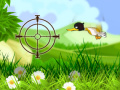                                                                       Duck Shooter  ﻞﯿﮭﮐ