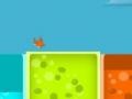                                                                       Bird Color Target  ﻞﯿﮭﮐ