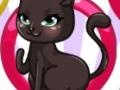                                                                       Cat Fashion Designer  ﻞﯿﮭﮐ
