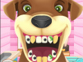                                                                       Animal Dentist  ﻞﯿﮭﮐ