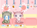                                                                       My Pet Shop ﻞﯿﮭﮐ