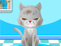                                                                       My Pet Spa ﻞﯿﮭﮐ