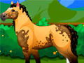                                                                       Pony Dress Up ﻞﯿﮭﮐ