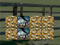                                                                       Horse Memo Deluxe ﻞﯿﮭﮐ