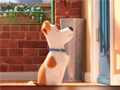                                                                       Hidden Letters in The Secret Life of Pets ﻞﯿﮭﮐ