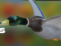                                                                       Duck Hunter Autumn forest  ﻞﯿﮭﮐ