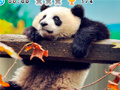                                                                       Animal Habitats: Find Items ﻞﯿﮭﮐ