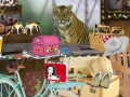                                                                       The amazing Animal Circus ﻞﯿﮭﮐ