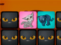                                                                       Big Cats: Memo Deluxe ﻞﯿﮭﮐ