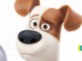                                                                       The Secret life of Pets: PetMoji Creator ﻞﯿﮭﮐ