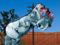                                                                       Yeti Rampage ﻞﯿﮭﮐ