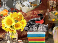                                                                       Crazy Cat Lady ﻞﯿﮭﮐ