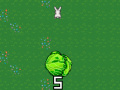                                                                       Cabbage Run ﻞﯿﮭﮐ