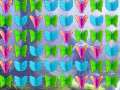                                                                       Butterfly Collector ﻞﯿﮭﮐ