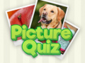                                                                       100 Pics ﻞﯿﮭﮐ