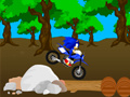                                                                       Cross Sonic Race  ﻞﯿﮭﮐ
