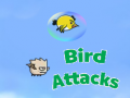                                                                       Birds Attacks ﻞﯿﮭﮐ