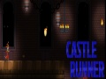                                                                       Castle Runner   ﻞﯿﮭﮐ