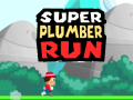                                                                       Super Plumber Run ﻞﯿﮭﮐ