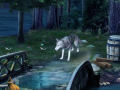                                                                       Guardian Wolf ﻞﯿﮭﮐ