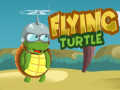                                                                       Flying Turtle ﻞﯿﮭﮐ