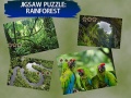                                                                       Jigsaw Puzzle Rain Forest  ﻞﯿﮭﮐ