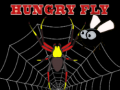                                                                       Hungry fly ﻞﯿﮭﮐ